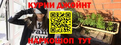 дмт Новозыбков
