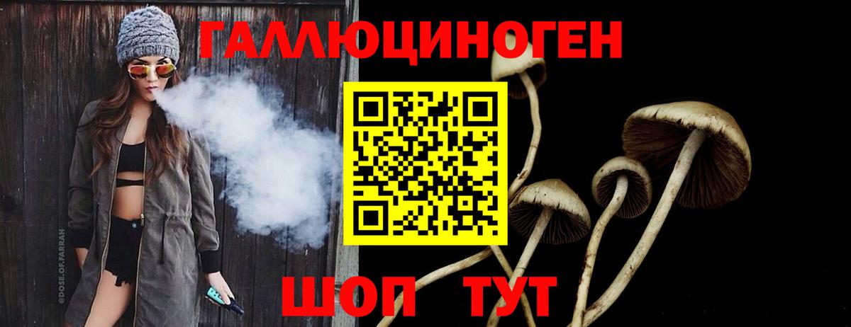 Псилоцибиновые грибы MAGIC MUSHROOMS  Вход с VPN  Сокол  Галлюциногенные грибы мицелий 